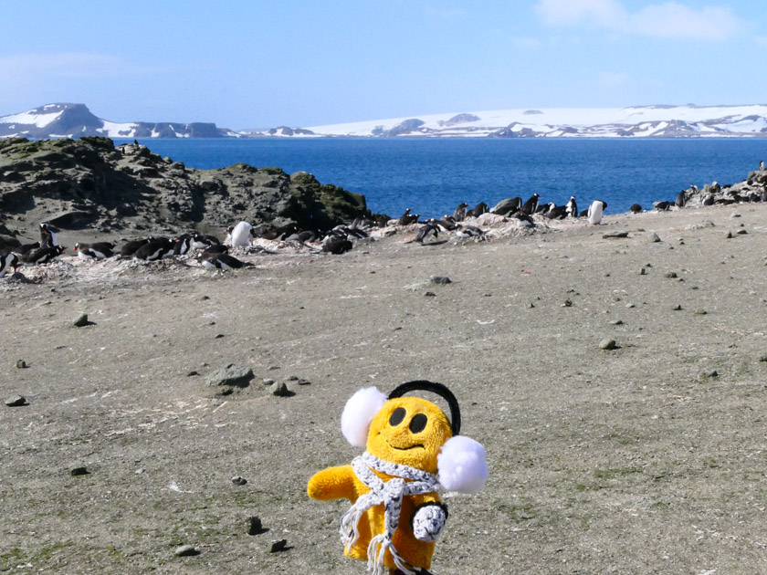 Mr. Happy on Barrientos Island