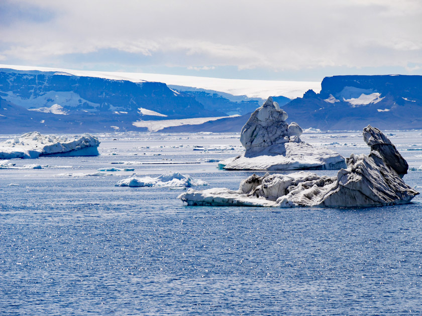 Icebergs Off Snowhill Island