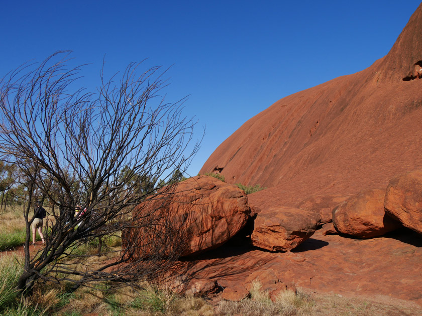 Early Morning Uluru Scene on Seqway Tour