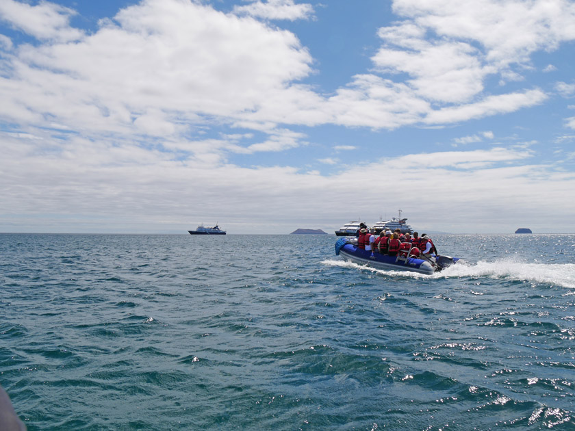 Zodiac Ride from Airport to Board Xperience, Baltra Zodiac Ride from Airport to Board Xperience, Baltra
