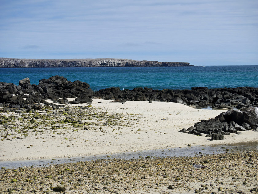 Darwin Bay, Genovesa Island Darwin Bay, Genovesa Island